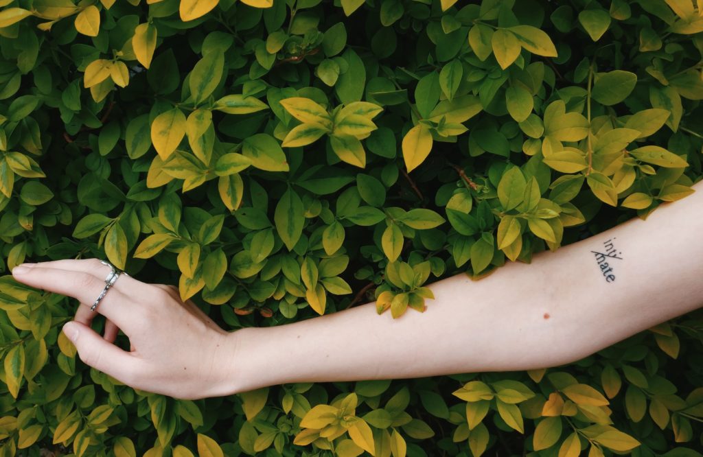 Vegane Tattoos TattooRatgeber